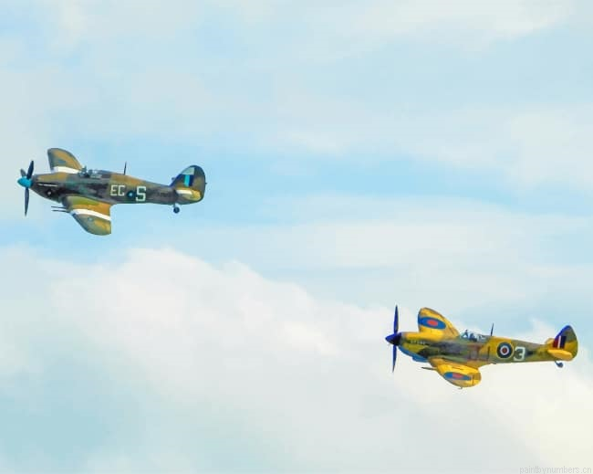 Two Spitfires Fighter Painting By Numberss.png