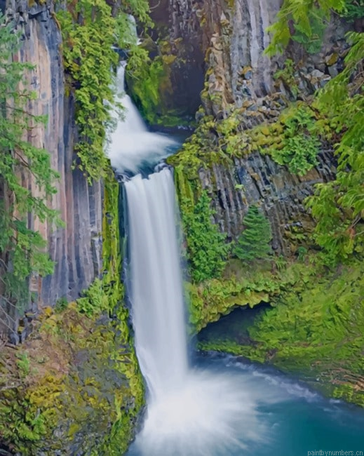 Umpqua National Forest Painting By Numberss.png