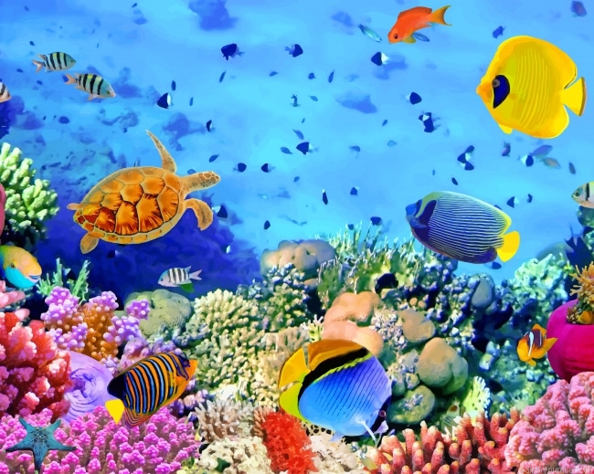 Under Water Colorful Fish Painting By Numberss.png