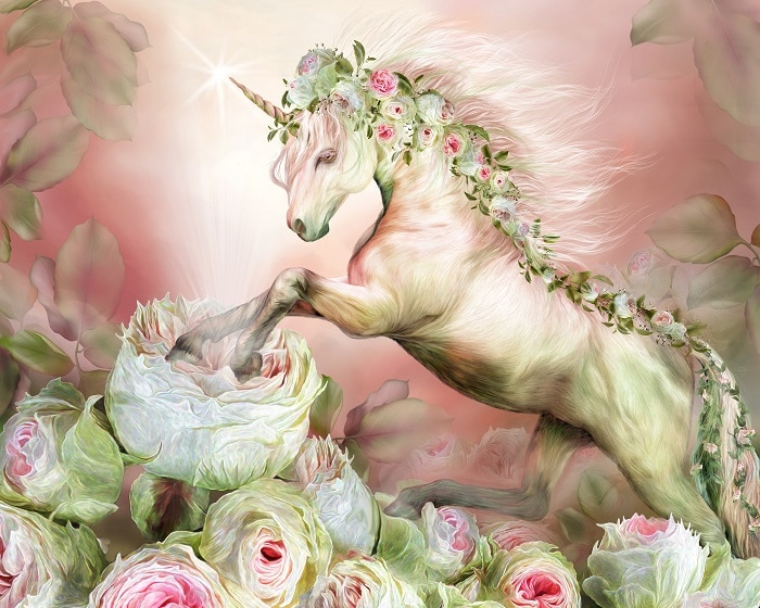 Unicorn Rose Painting By Numberss.png