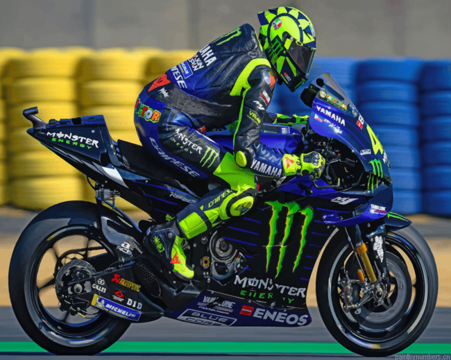 Valentino Rossi Le Mans Painting By Numberss.png