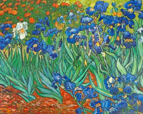 Van Gogh Irises Painting By Numbers.png