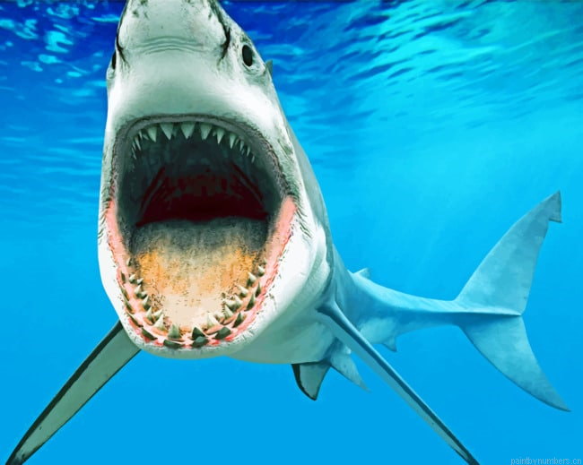 Vicious Mouth Of A Shark Fish Painting By Numberss.png