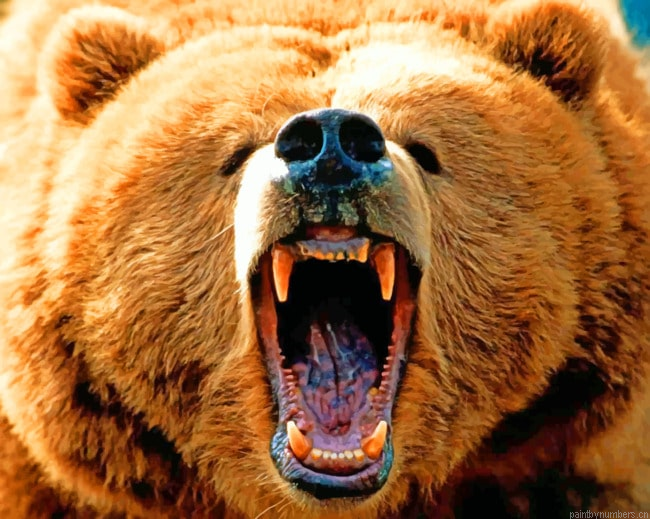 Vicious Wild Bear Animals Painting By Numberss.png