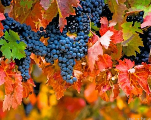 Vineyard And Leaves Painting By Numbers.png
