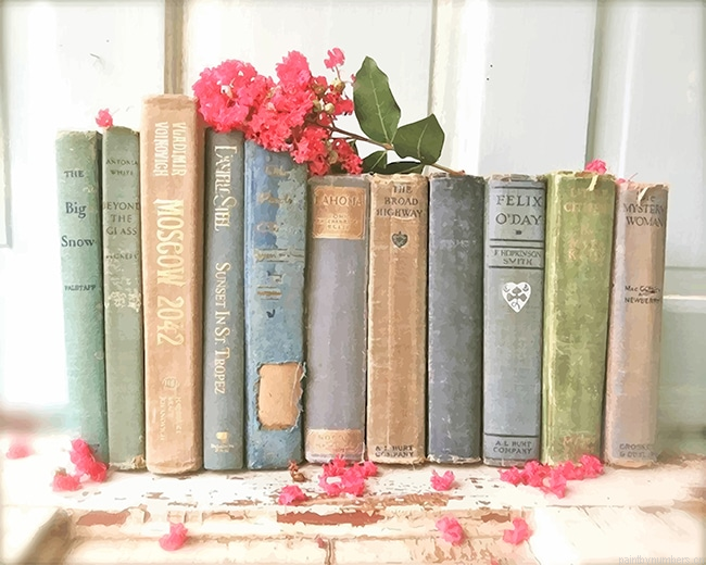 Vintage Books Painting By Numberss.png