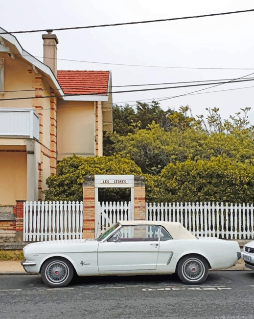 Vintage Chevrolet Camaro Cars Painting By Numberss.png