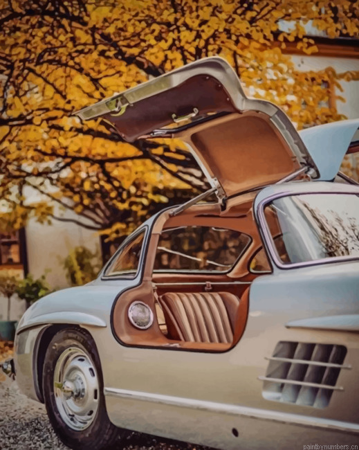 Vintage Mercedes Benz Cars Painting By Numberss.png