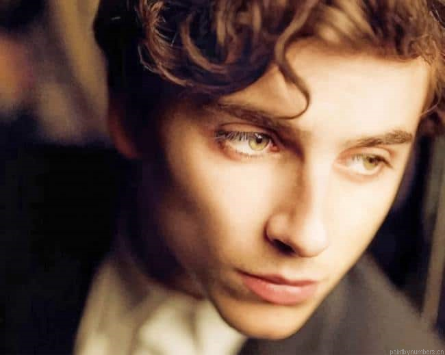 Vintage Timothee Chalamet Actors Painting By Numberss.png
