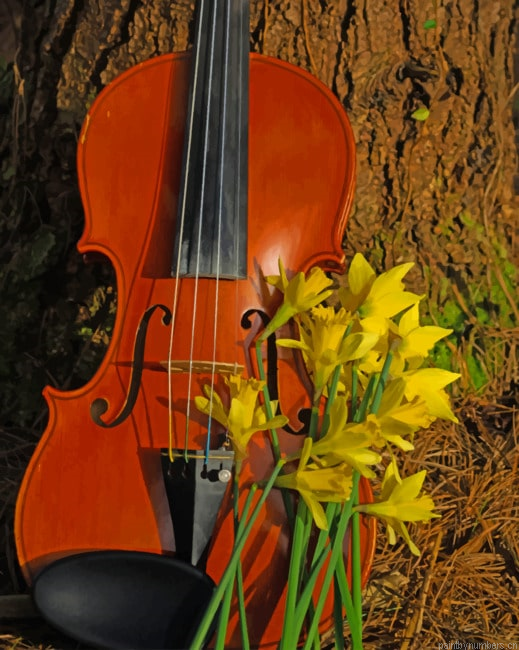 Violin Musical Instrument Painting By Numberss.png