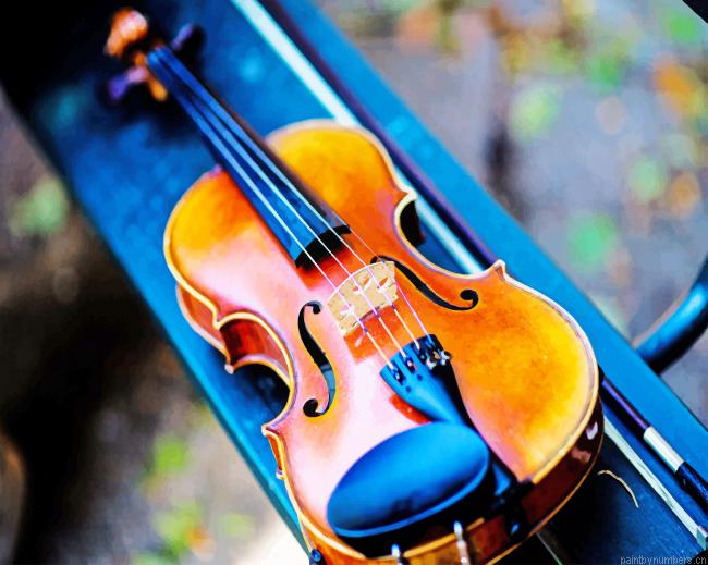 Violin Photography Music Painting By Numberss.png