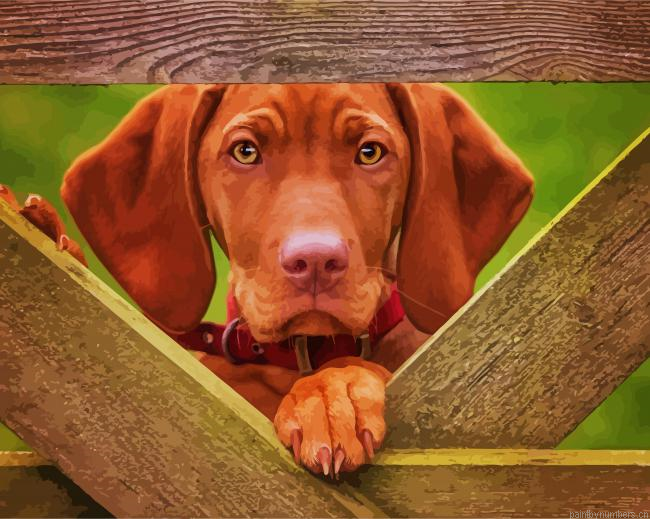 Vizsla Dog Painting By Numberss.png