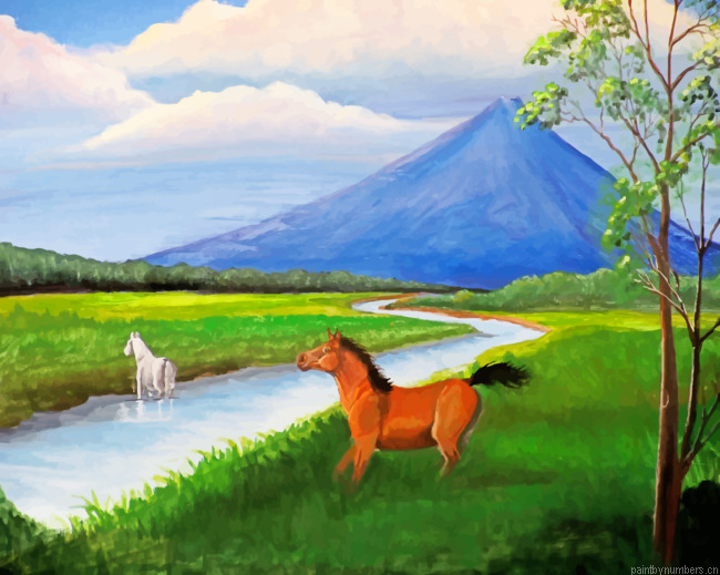 Volcano Horses Of Costa Rica Painting By Numbers.png