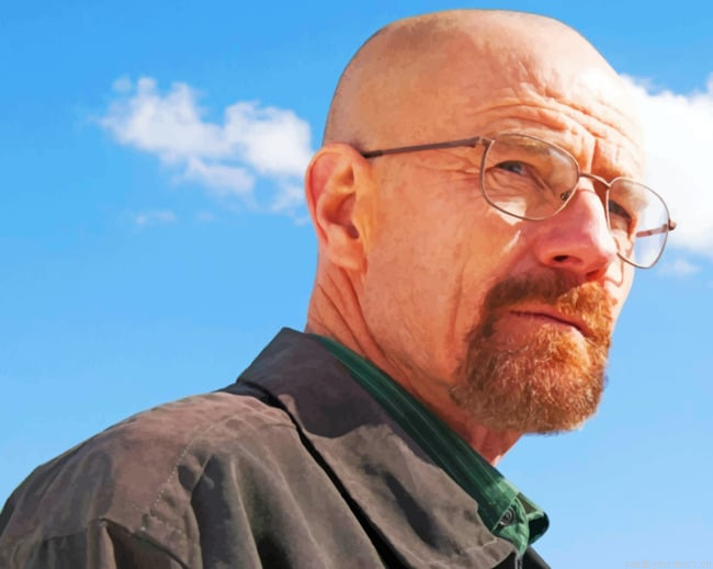 Walter White Actors Painting By Numberss.png