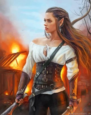 Warrior Elf Woman Painting By Numbers.png