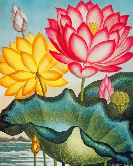 Water Lily Art Plants Painting By Numberss.png