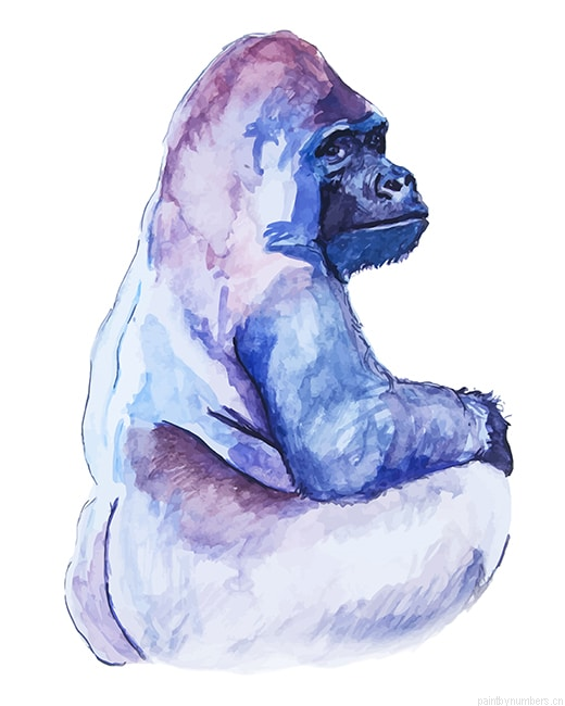 Watercolor Gorilla Animals Painting By Numbers.png