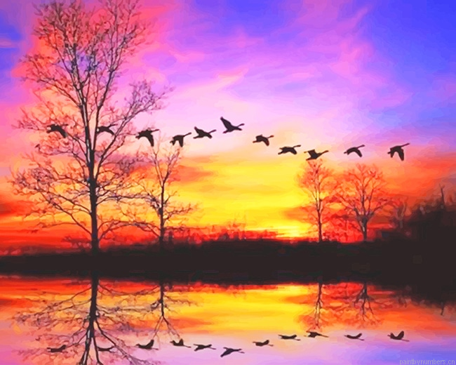 Waterfowl Sunset Painting By Numbers.png