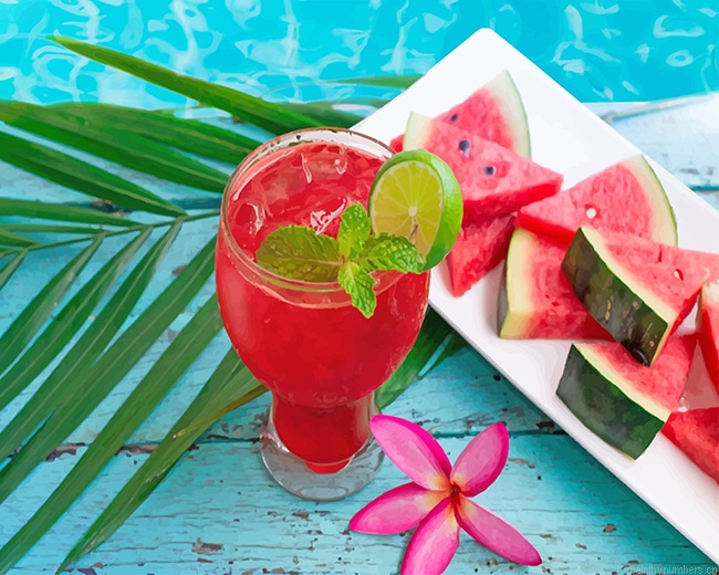 Watermelon Juice Food Painting By Numberss.png