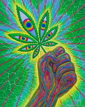 Weed Illustration Painting By Numberss.png