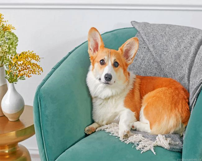 Welsh Corgi Painting By Numberss.png