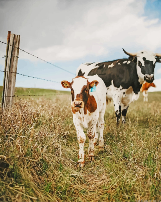 Western Cow Painting By Numbers.png