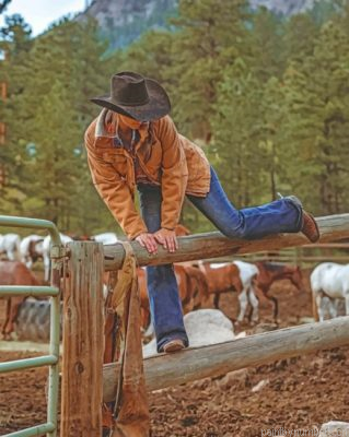 Western Cowgirl Painting By Numbers.png