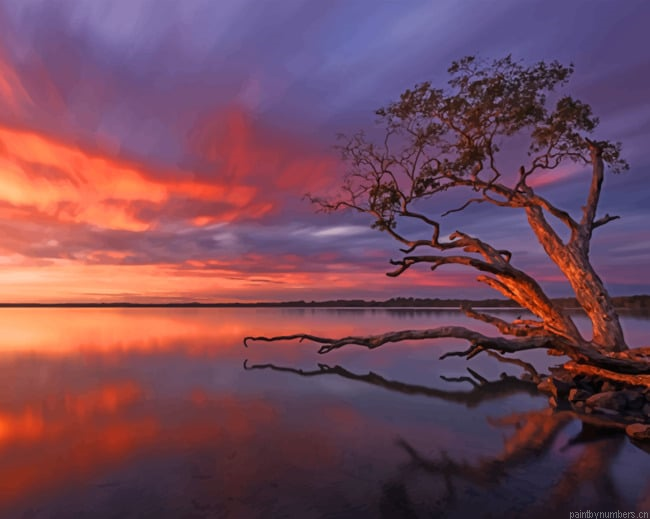 Weyba Lake Sunset Nature Painting By Numberss.png