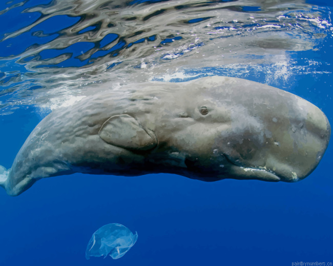 Whale In Ocean Water Animals Painting By Numberss.png