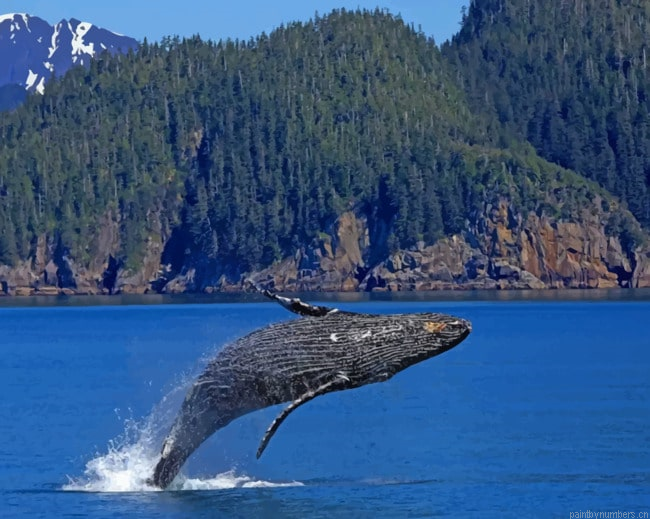 Whale Jumping Out Of Water Painting By Numberss.png