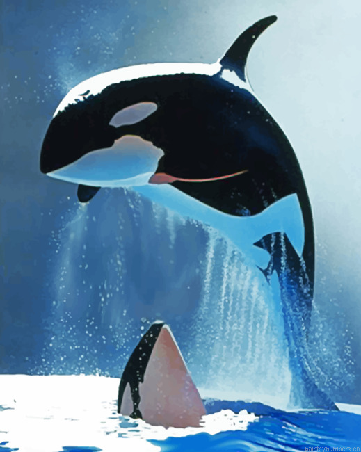 Whales Painting By Numbers.png