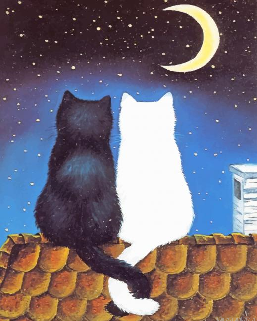 White And Black Cats Couple Animals Painting By Numbers.png