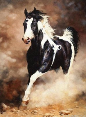 White And Black Horse Painting By Numbers.png