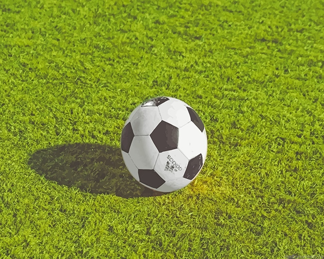 White And Black Soccer Ball Painting By Numberss.png