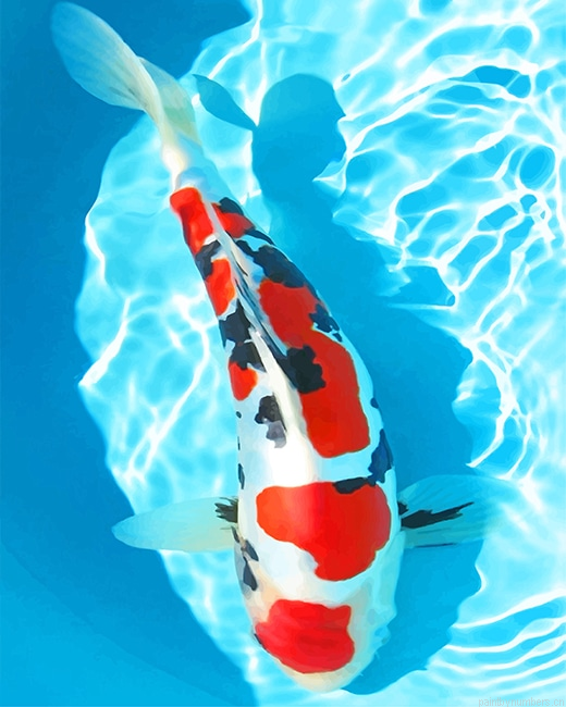 White And Red Koi Fish Painting By Numberss.png