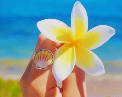 White And Yellow Frangipani Flower Painting By Numbers.png