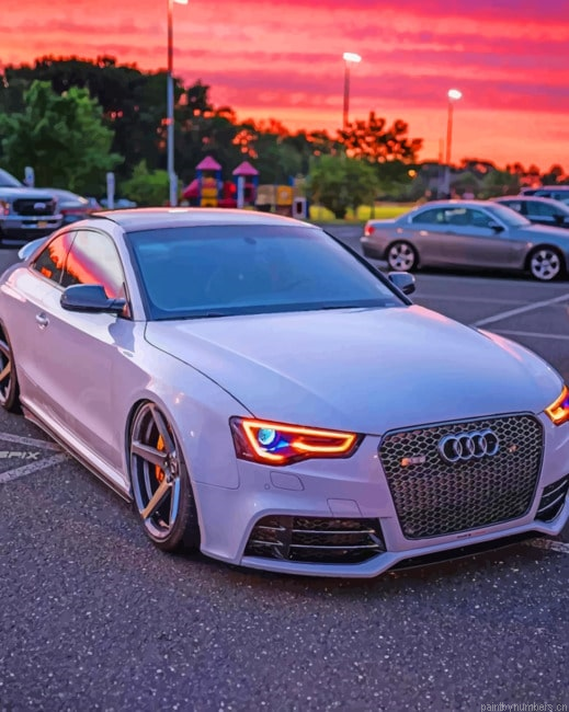 White Audi A5 Cars Painting By Numberss.png