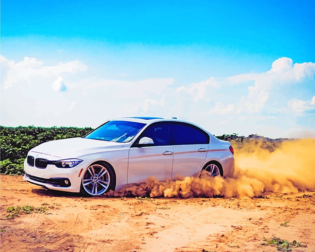 White Bmw Car New Painting By Numbers.png