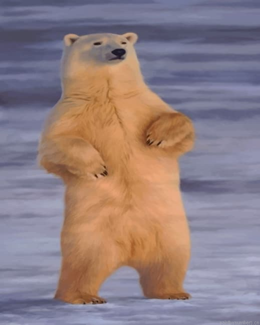 White Bear Animals Painting By Numberss.png
