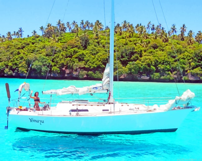 White Boat Beside Island Painting By Numberss.png