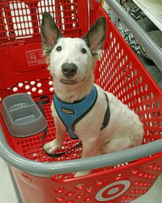 White Bull Terrier Painting By Numbers.png