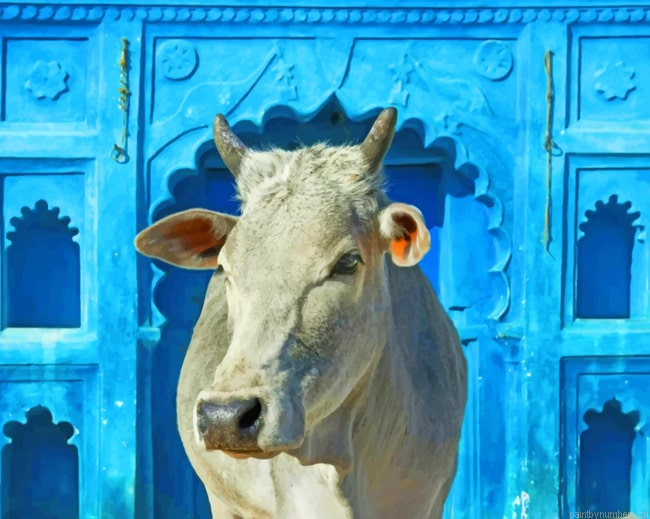 White Cow Animals Painting By Numberss.png