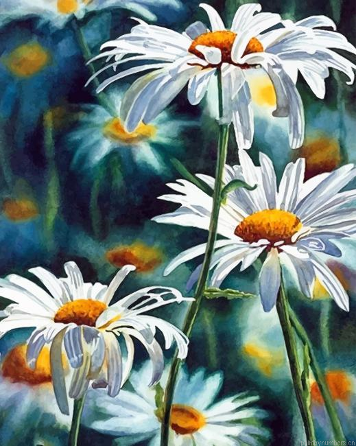 White Daisy Flowers Painting By Numberss.png