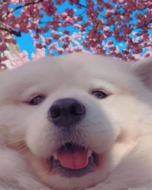 White Dog Animals Painting By Numberss.png