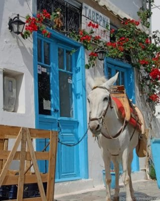 White Donkey In Greece Painting By Numbers.png