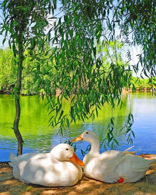 White Ducks Birds Painting By Numberss.png