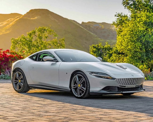 White Ferrari Cars Painting By Numberss.png