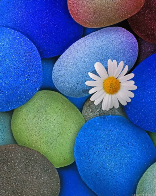 White Flower On Stones Painting By Numberss.png