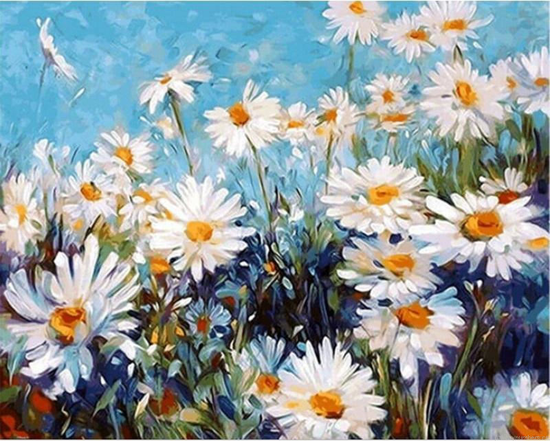 White Flowers Daisies Painting By Numbers.png