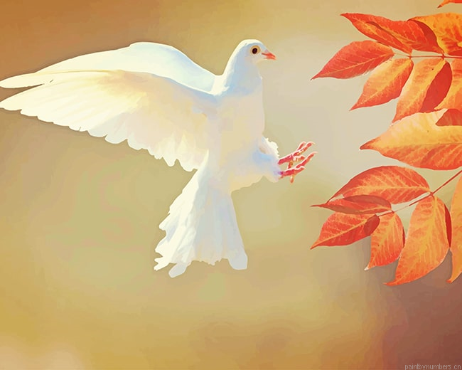 White Flying Pigeon Birds Painting By Numbers.png